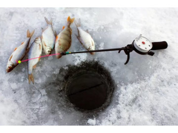Как ловить рыбу на мормышку зимой